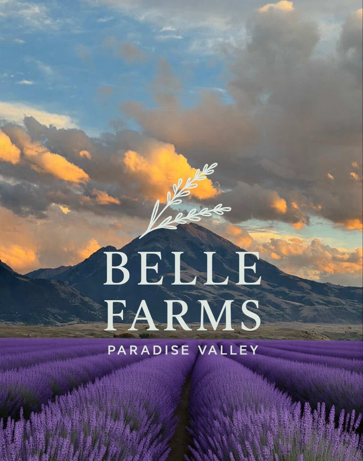 Belle Farms Montana Banner Image